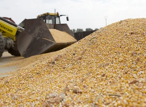 Raport USDA: wzrost produkcji jest za mały na zbudowanie zapasów