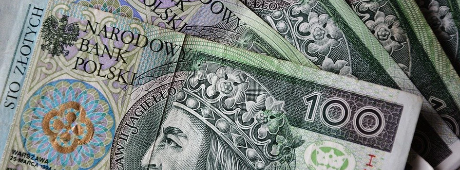 Dopłaty bezpośrednie 2021: Znamy kurs euro i stawki płatności