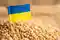 Ukraina ma 2 miesiące na eksport zboża
