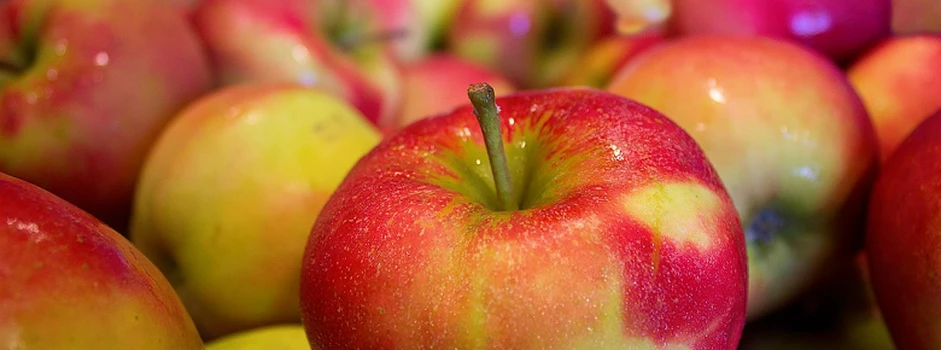 Skupy zaniżają ceny jabłek? UOKiK bada sprawę