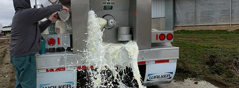Amerykanie wylewają mleko