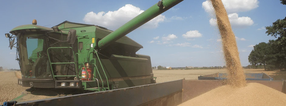 Żniwne pogotowie cenowe: plony zbóż będą niższe