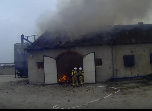 Wielkopolska: Pożar na fermie drobiu w Mierzewie