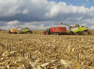 Brazylia znosi cła na import kukurydzy i soi