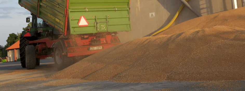 Raport USDA lewaruje ceny zbóż, pszenica o 50 zł do góry!
