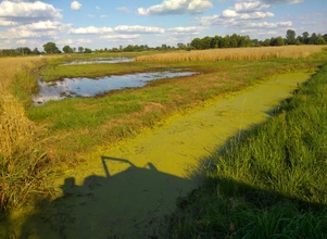 Rzeka stoi, łąki płyną, a rolnicy z Wielkopolski liczą straty