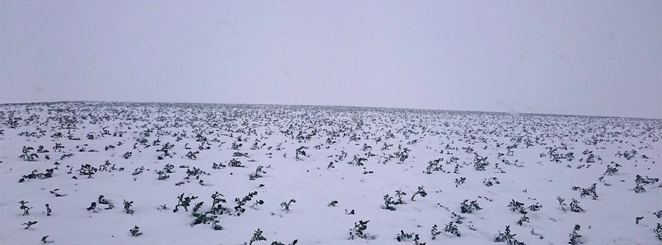 Zima w kwietniu, czyli pogoda nęka rolników