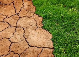 Rolnictwo a zmiany klimatu. Co nas czeka w najblizszych latach?