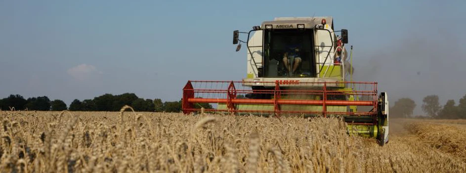 Rynek zbóż: wszystkie oczy na Ukrainę, co z cenami?