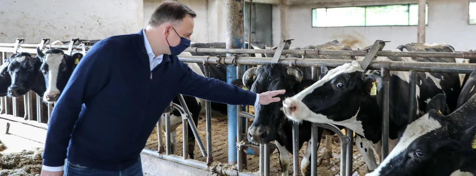 Prezydent Duda zapowiada specustawę antysuszową i apeluje o zaprzestanie importu mleka do Polski