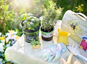 Weź udział w konkursie TPR "Zielony Zakątek" i wygraj sprzęt ogrodniczy