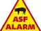ASF – GIW podaje nowo wyznaczone ogniska i przypadki