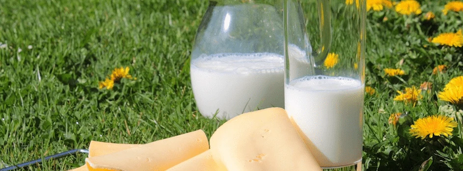 Poprawa sytuacji na światowym rynku mleka – jakie będą ceny w Polsce?