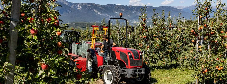 Traktory Valtra do pracy w sadzie