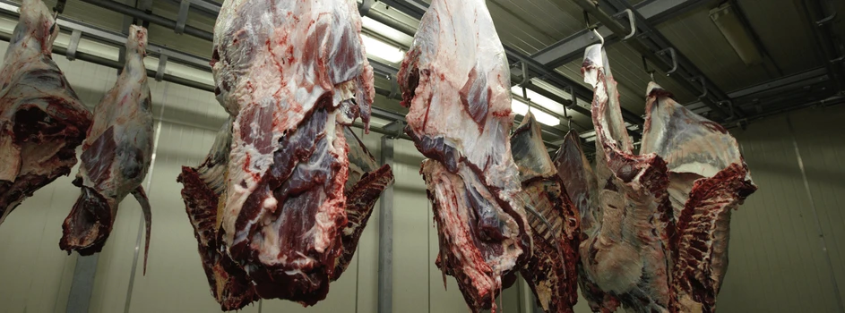 BSE potwierdzony! Brazylia wstrzymuje eksport wołowiny do Chin