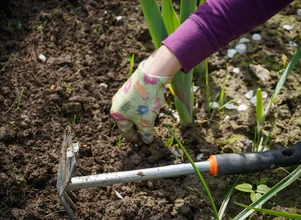Hortiterapia - jak praca w ogrodzie wpływa na nasze zdrowie?