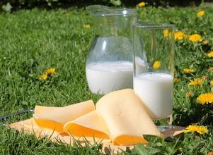 Poprawa sytuacji na światowym rynku mleka – jakie będą ceny w Polsce?