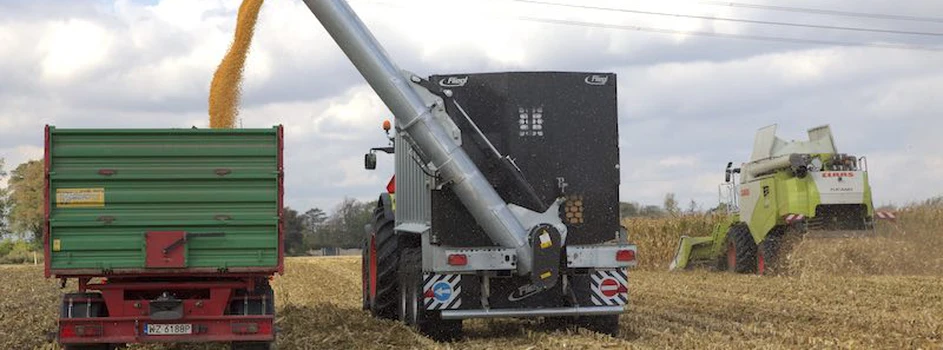 Ukraina: Więcej kukurydzy, mniej pszenicy
