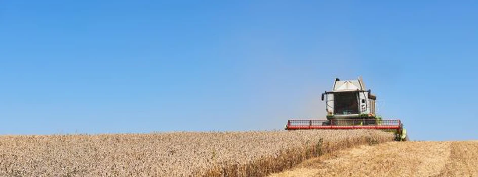 Żniwne Pogotowie Cenowe top agrar Polska - zapisz się i otrzymuj SMS z cenami zbóż i rzepaku!