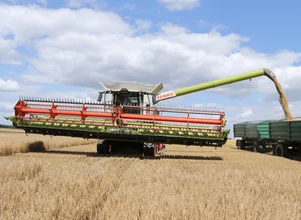 Raport USDA: wojna zwiększa zapasy pszenicy, które są nie do ruszenia