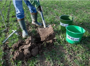 W jaki sposób pobrać próby gleby na azot?