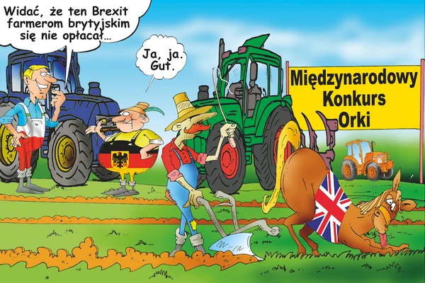 Wszyscy w Unii Europejskiej zastanawiaja się jakie będą konsekwencję Brexitu dla brytyjskiego i unijnego rolnictwa.