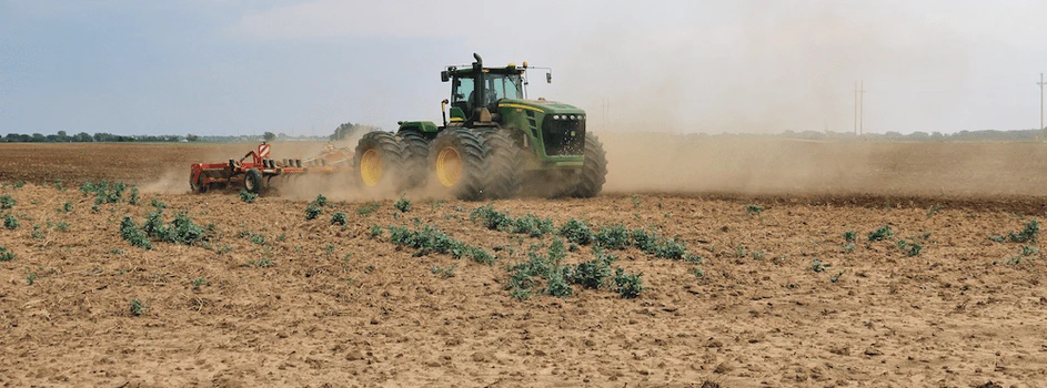 Ukraina eksportuje mniej zbóż. Które są najbardziej opłacalne?
