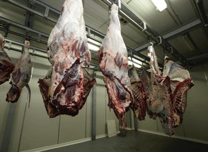 BSE potwierdzony! Brazylia wstrzymuje eksport wołowiny do Chin