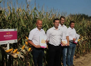 Cztery nowości kukurydzy z firmy IGP