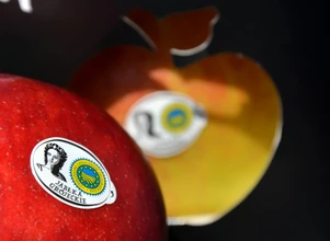 Są fundusze na promocję polskich jabłek
