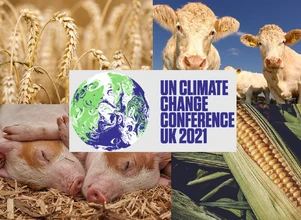 COP26: zbyt mało mówi się o rolnictwie