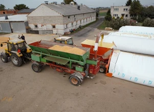 Rynek zbóż: Drożeją paszowe, drożeje i kukurydza