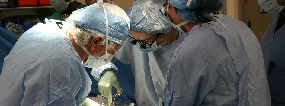 Przełom w medycynie: Amerykańskim chirurgom udało się wszczepić człowiekowi świńskie serce