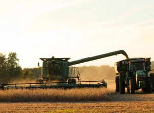 Czy ceny zbóż dalej będą rosnąć czy trzeba nastawić się na spadki?