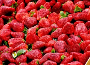 Sejm: MRIRW o sytuacja na rynku owoców miękkich