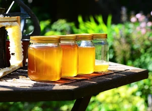 ARiMR podała termin składania wniosków o pomoc dla pszczelarzy. Rolnicy muszą poczekać